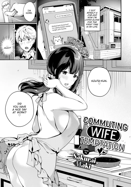 'Commuting Wife Temptation' cover