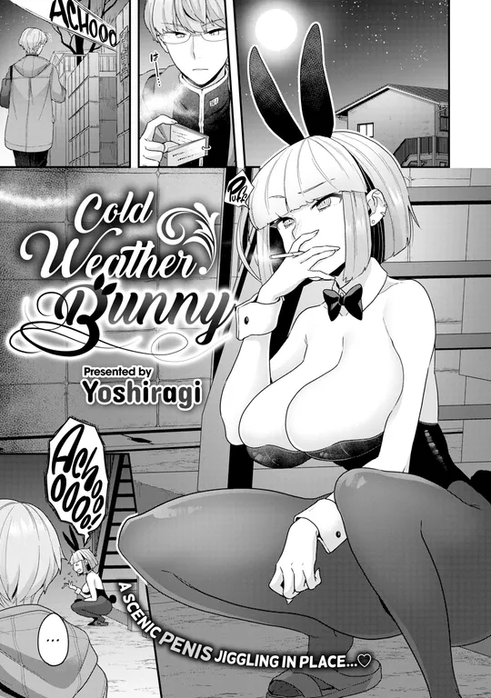 'Cold Weather Bunny' cover