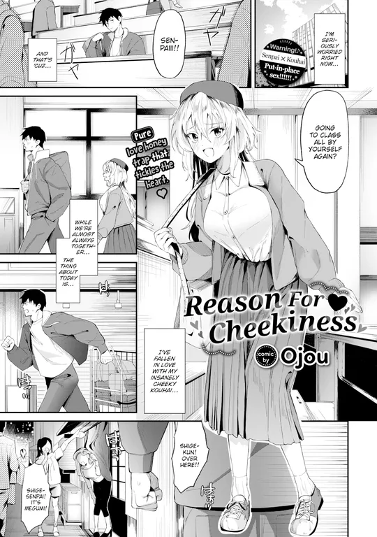 'Reason For Cheekiness' cover