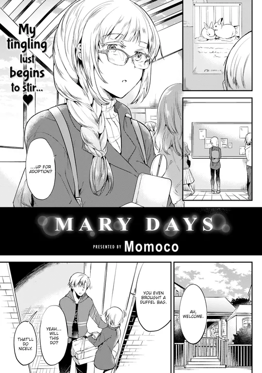 'Mary Days' cover