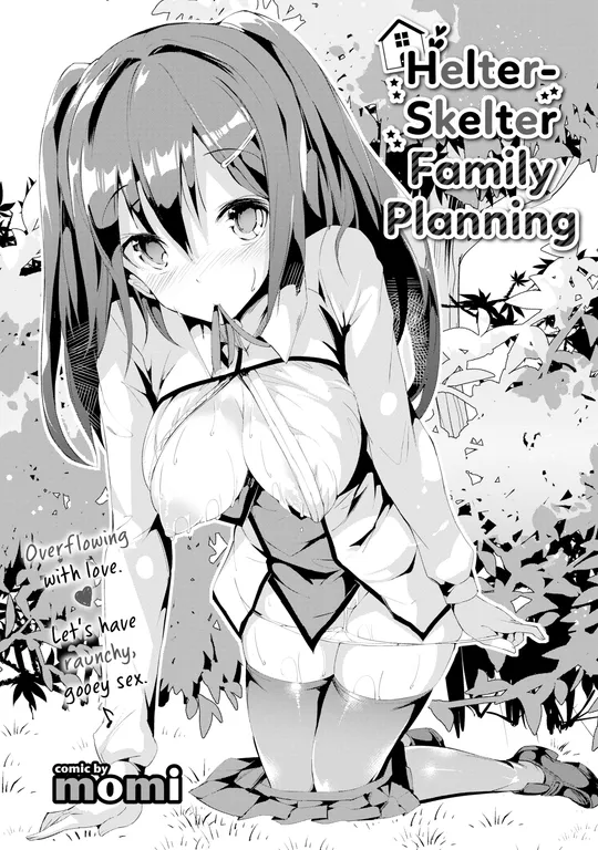 'Helter-Skelter Family Planning' cover