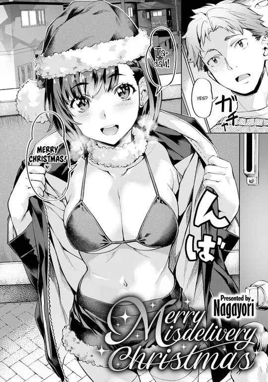 'Merry Misdelivery Christmas' cover