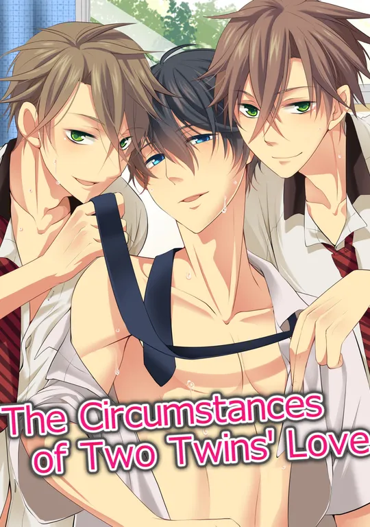 'The Circumstances of Two Twins' Love' cover