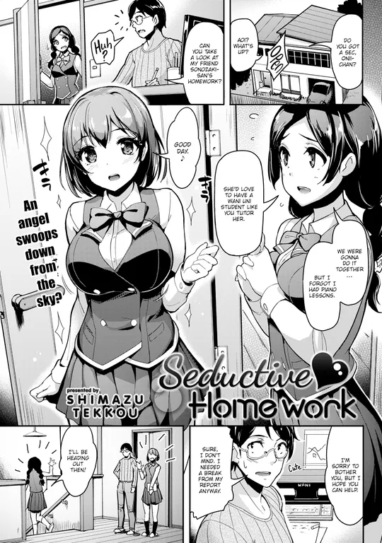 'Seductive Homework' cover