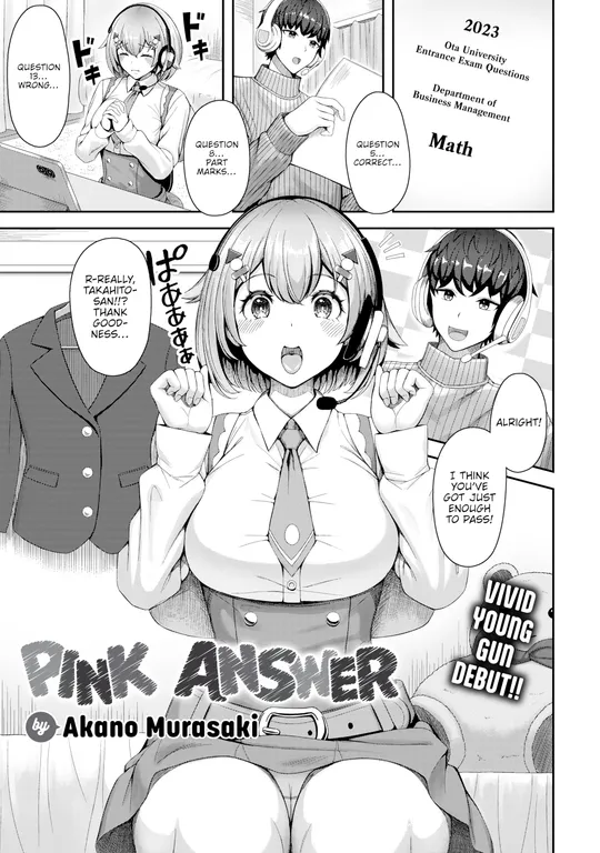'Pink Answer' cover