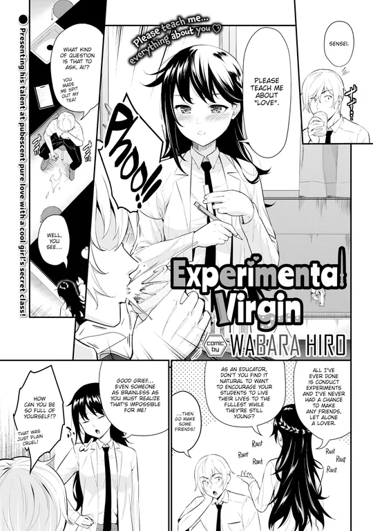 'Experimental Virgin' cover