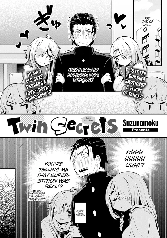 'Twin Secrets' cover