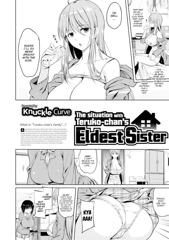 'The Situation with Teruko-chan's Eldest Sister' cover