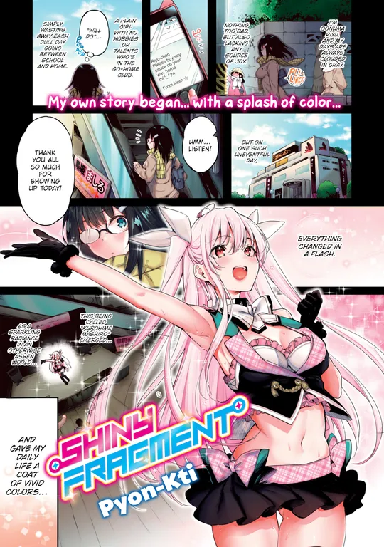 'Shiny Fragment' cover