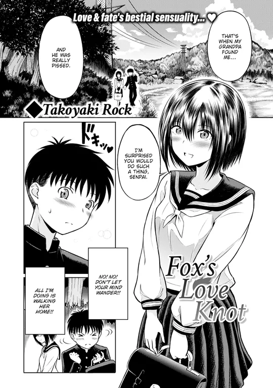 'Fox's Love Knot' cover