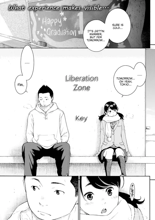 'Liberation Zone' cover