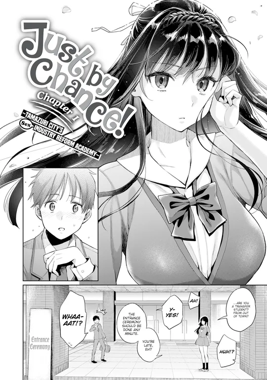 'Just by Chance! Chapter 1 ~Tamazuri City's (Sex) Industry Reform Academy~' cover