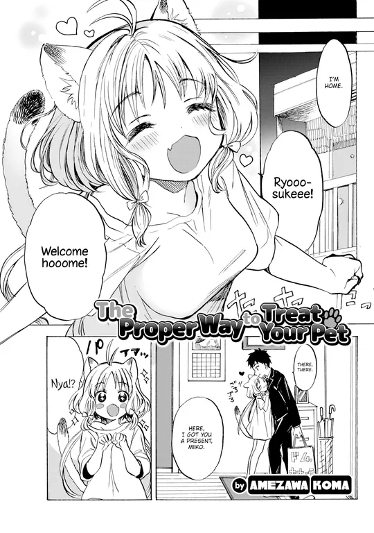 'The Proper Way to Treat Your Pet' cover