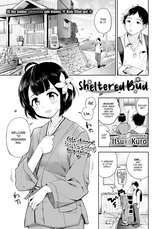 'Sheltered Bud' cover