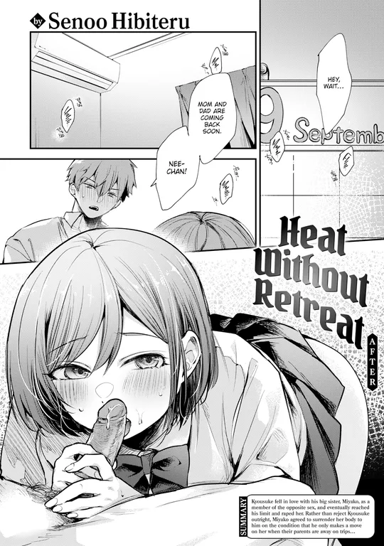 'Heat Without Retreat ~After~' cover