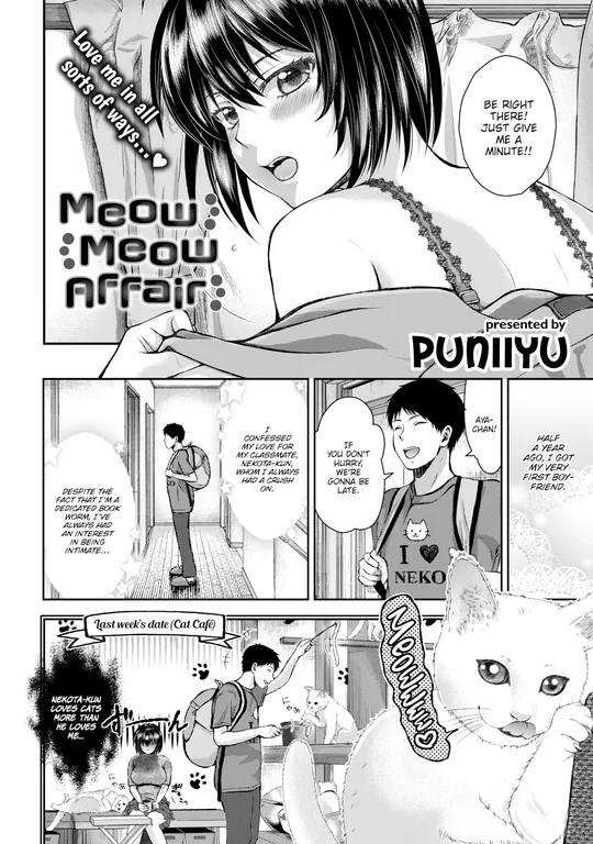 'Meow Meow Affair' cover