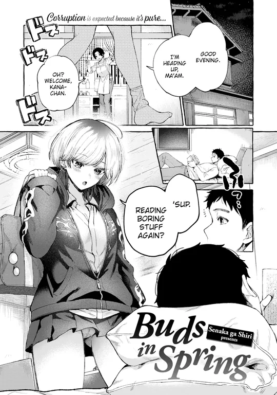 'Buds in Spring' cover
