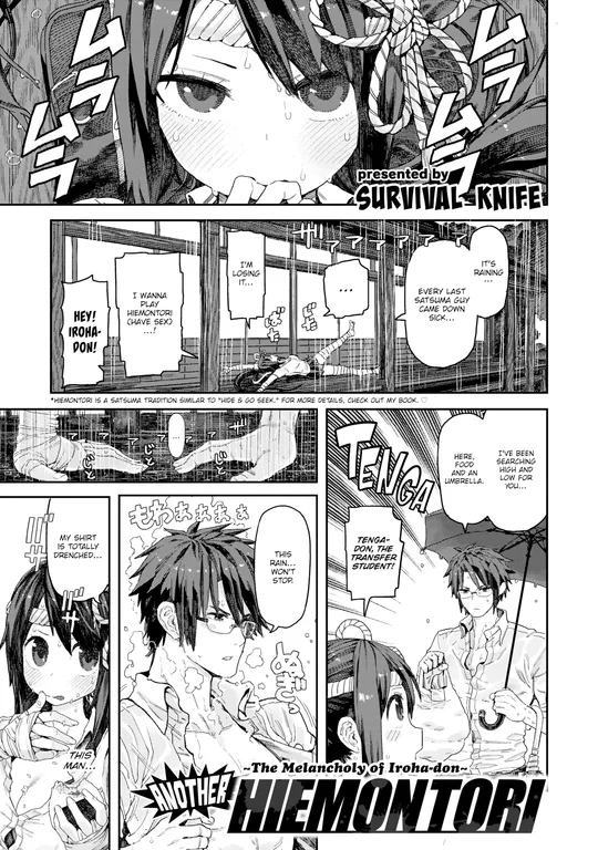 'Another Hiemontori ~The Melancholy of Iroha-don~' cover
