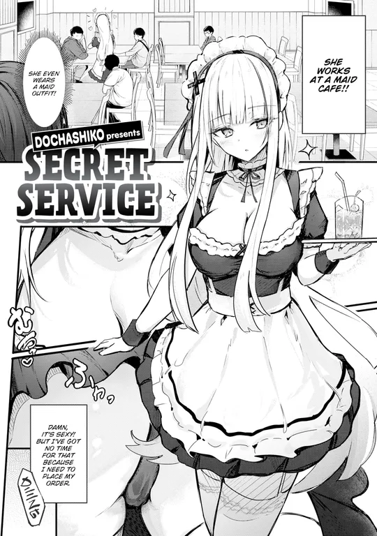 'Secret Service' cover