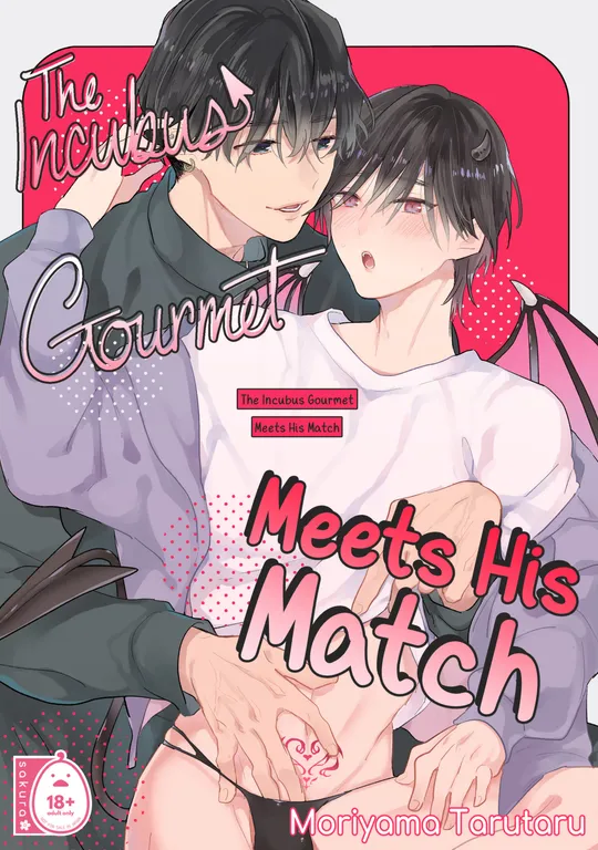 'The Incubus Gourmet Meets His Match' cover