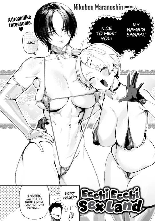 'Ecchi Ecchi Sex Land' cover