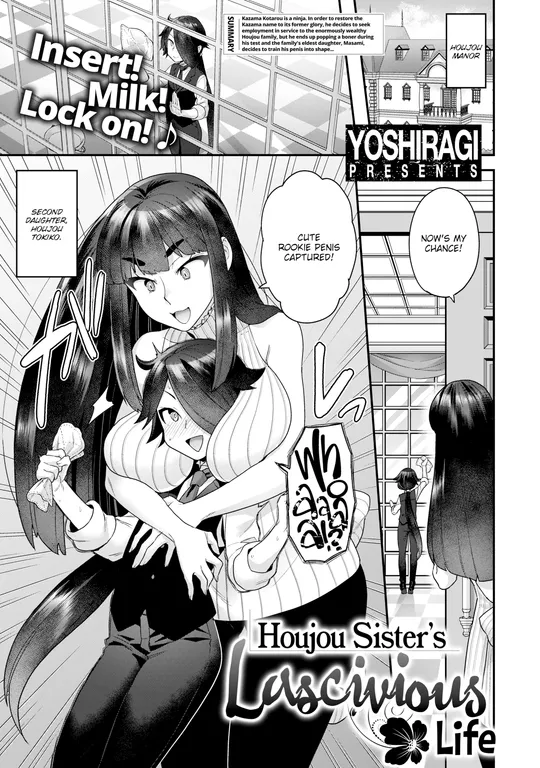 'Houjou Sister's Lascivious Life' cover