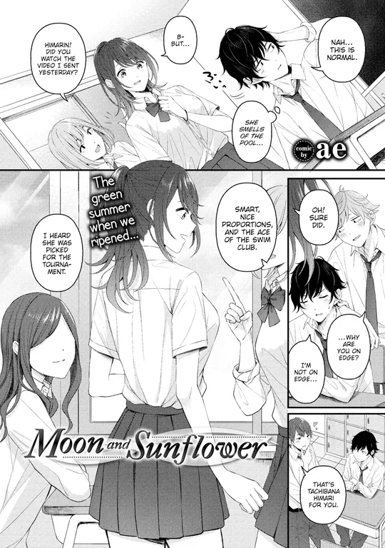 'Moon and Sunflower' cover
