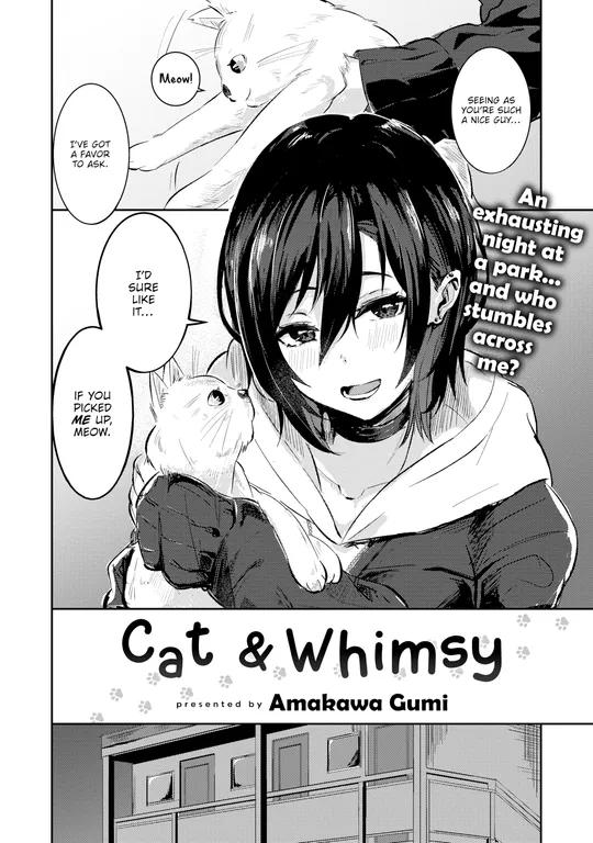 'Cat & Whimsy' cover