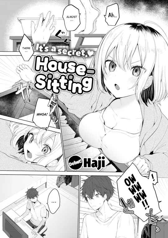 'House-Sitting' cover