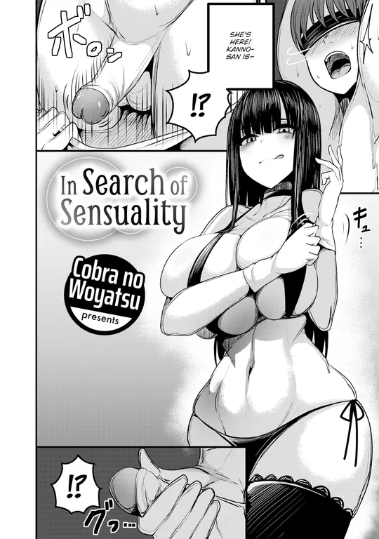 'In Search of Sensuality' cover