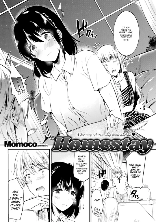 'Homestay' cover
