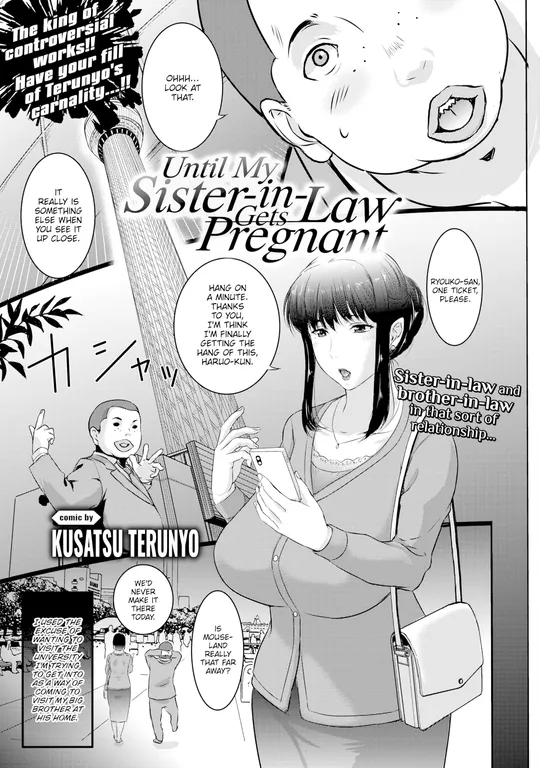 'Until My Sister-in-Law Gets Pregnant' cover
