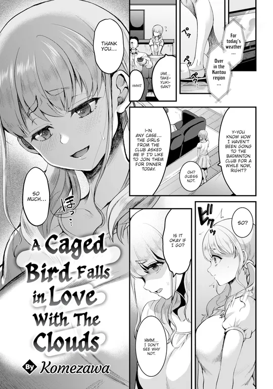 'A Caged Bird Falls in Love With the Clouds' cover