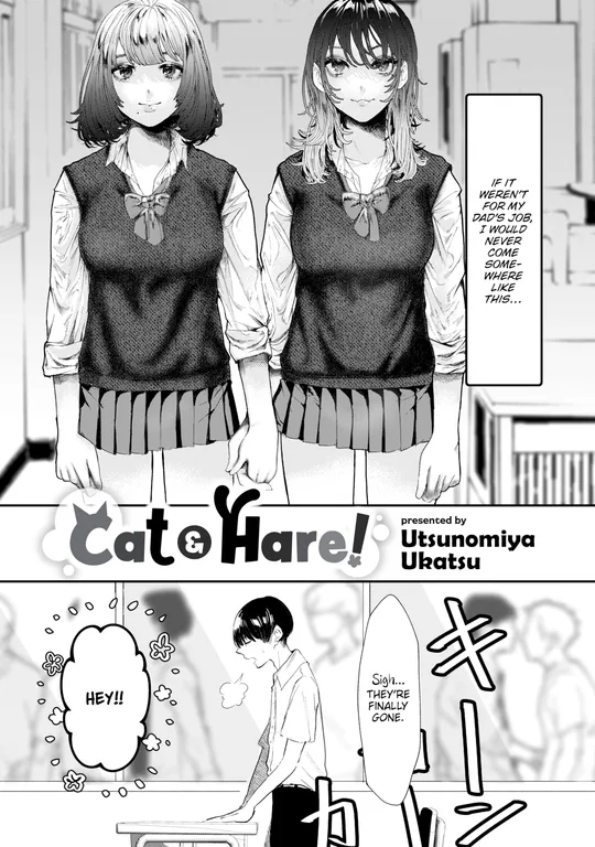 'Cat & Hare!' cover
