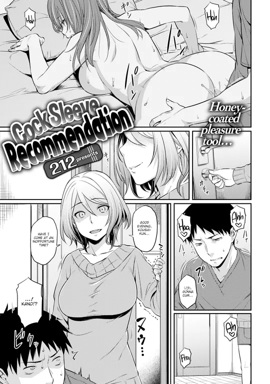 'Cock Sleeve Recommendation' cover