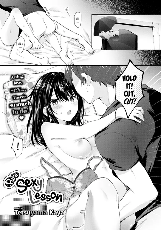 'Pure Sexy Lesson' cover