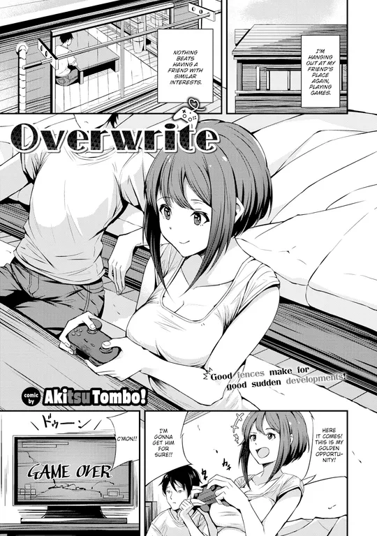 'Overwrite' cover