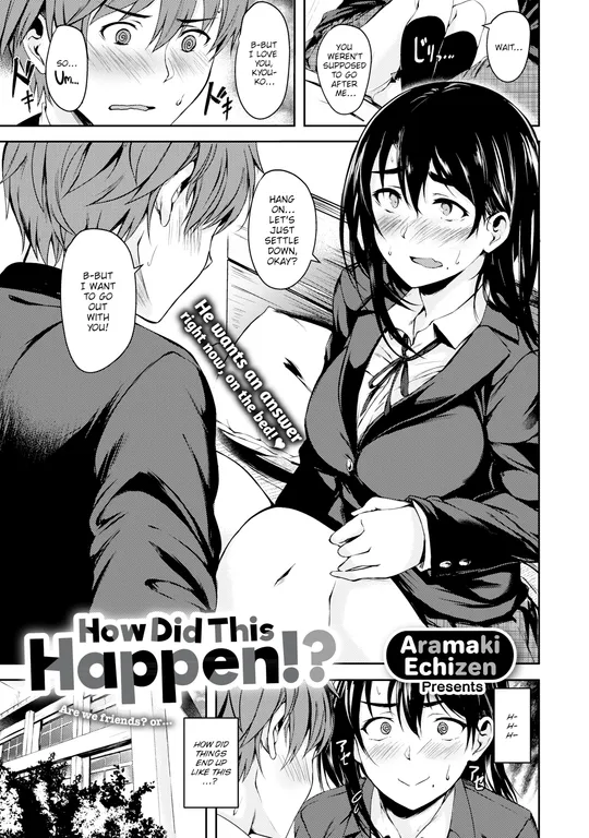 'How Did This Happen!?' cover