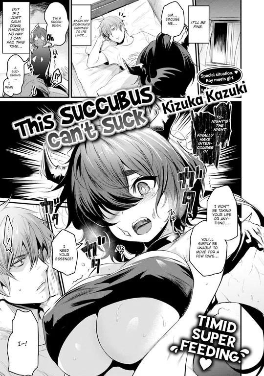 'This Succubus Can't Suck' cover