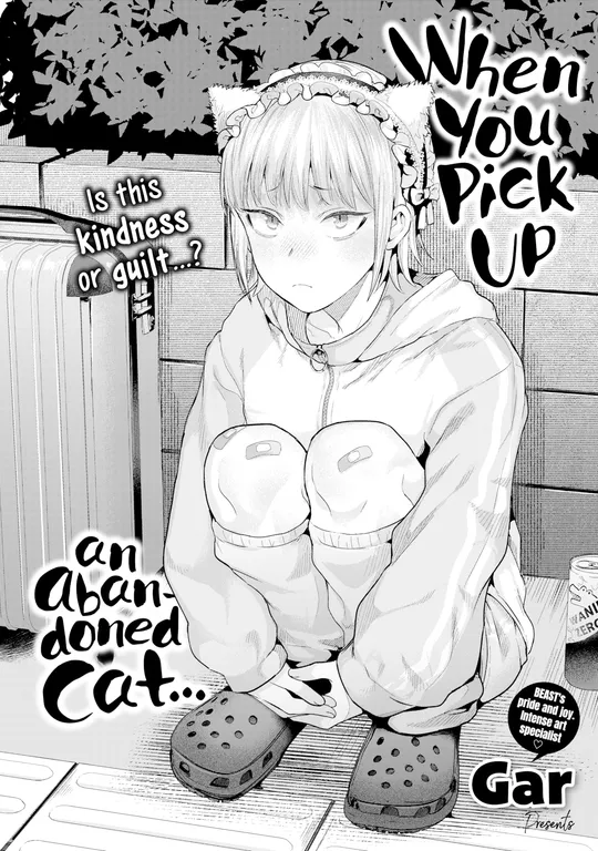 'When You Pick Up an Abandoned Cat...' cover